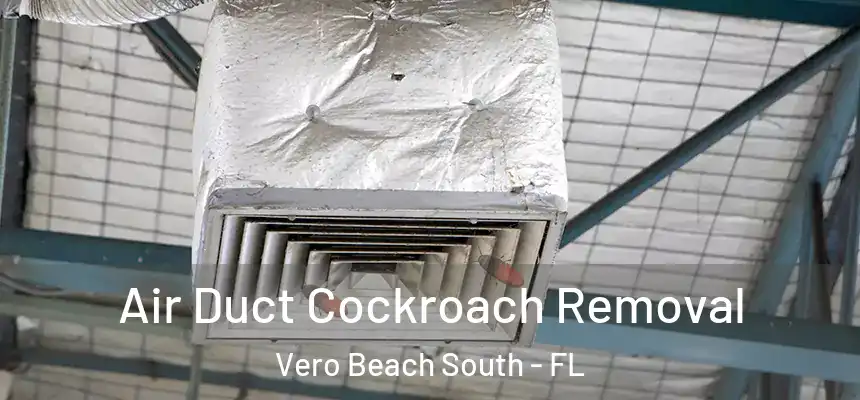 Air Duct Cockroach Removal Vero Beach South - FL