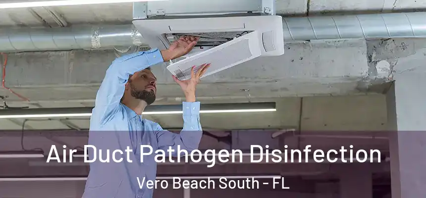 Air Duct Pathogen Disinfection Vero Beach South - FL
