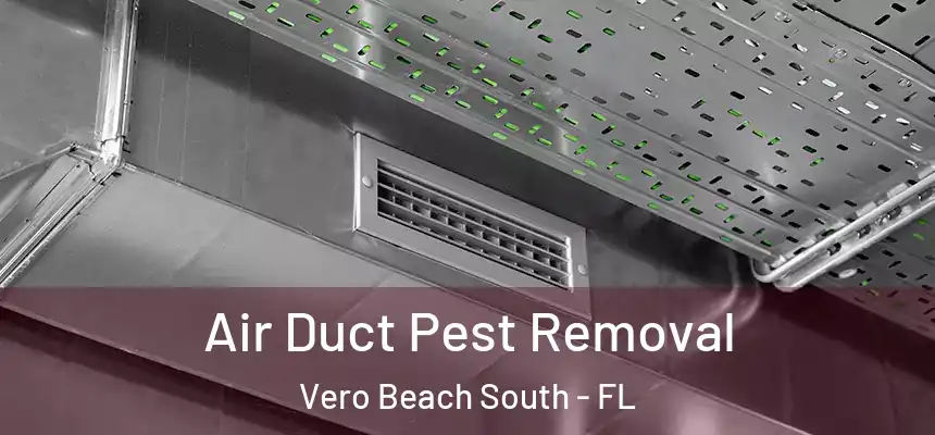 Air Duct Pest Removal Vero Beach South - FL