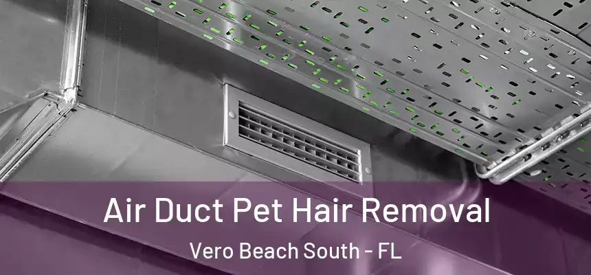 Air Duct Pet Hair Removal Vero Beach South - FL