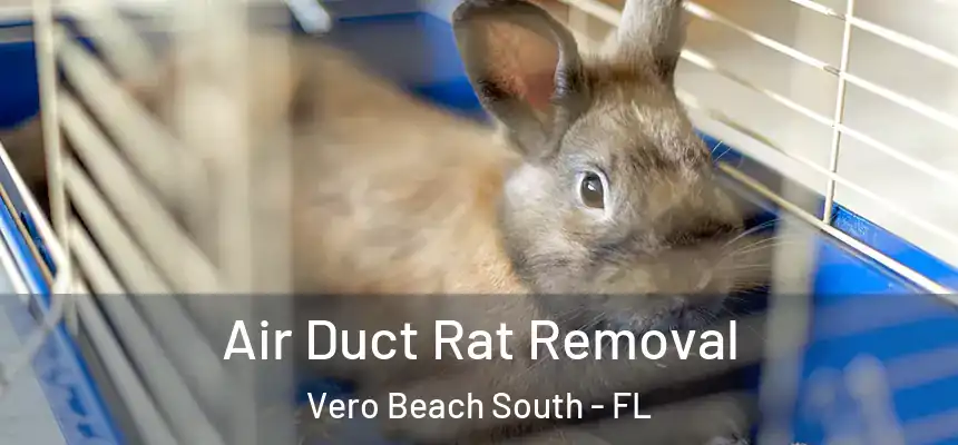Air Duct Rat Removal Vero Beach South - FL