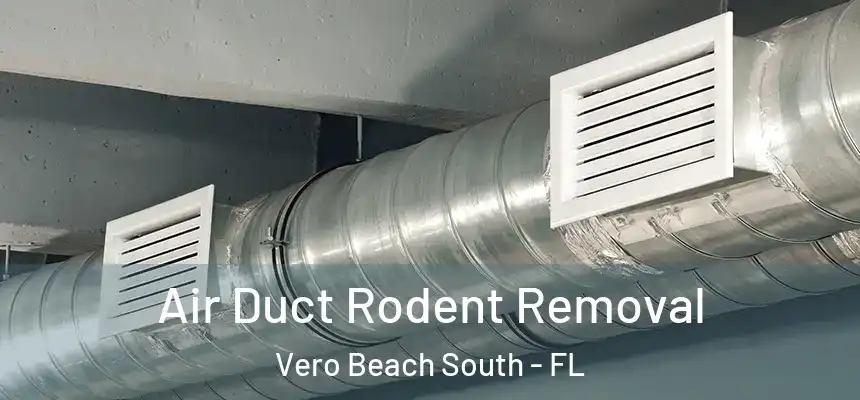 Air Duct Rodent Removal Vero Beach South - FL