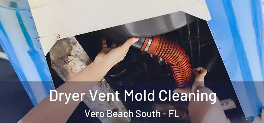 Dryer Vent Mold Cleaning Vero Beach South - FL