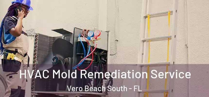 HVAC Mold Remediation Service Vero Beach South - FL