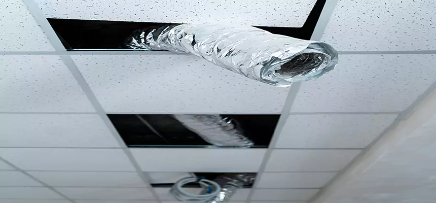 Affordable HVAC Sanitizing After Pest Removal in Vero Beach South