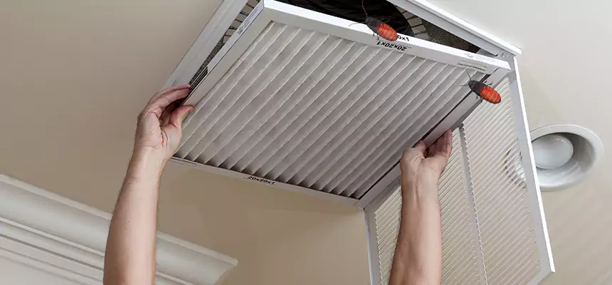 Our Insect Removal from Air Ducts Services in Vero Beach South, FL