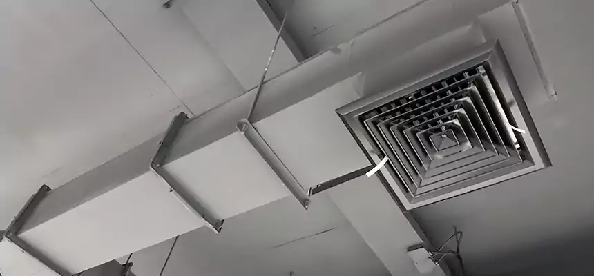 Our Rodent Droppings In Vents Services in Vero Beach South, FL