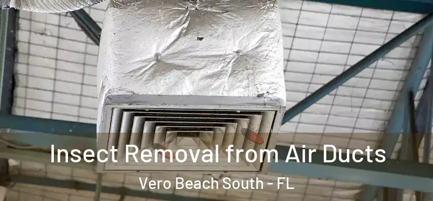 Insect Removal from Air Ducts Vero Beach South - FL