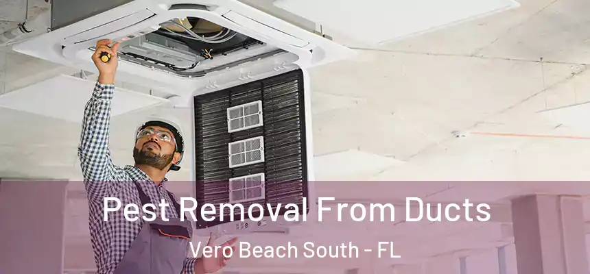 Pest Removal From Ducts Vero Beach South - FL