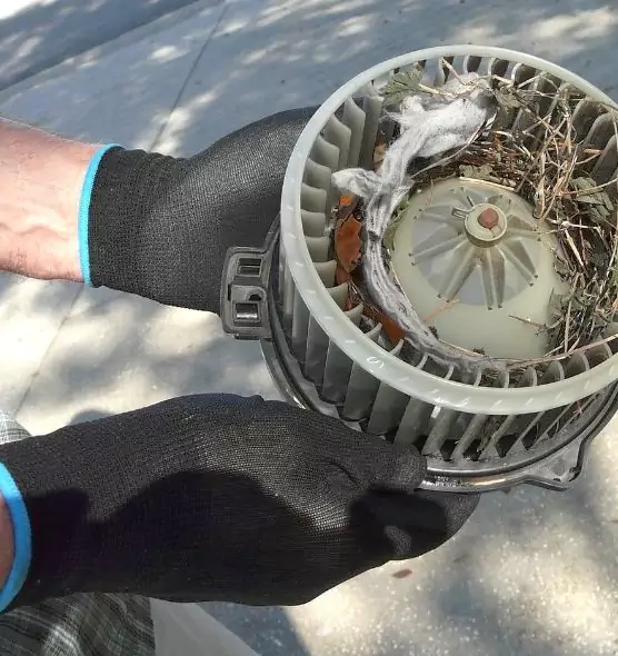 About Air Duct Mice Removal in Vero Beach South, FL