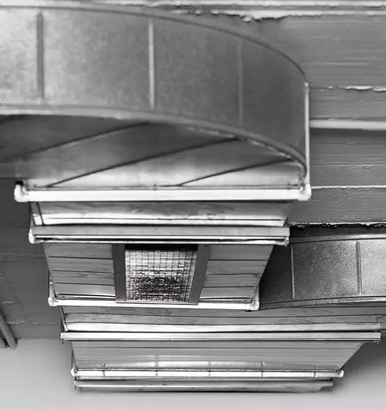 Professional Air Duct Pet Hair Removal in Vero Beach South, FL