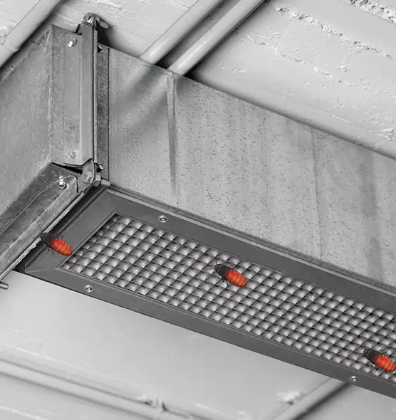 Affordable Insect Removal from Air Ducts in Vero Beach South, FL