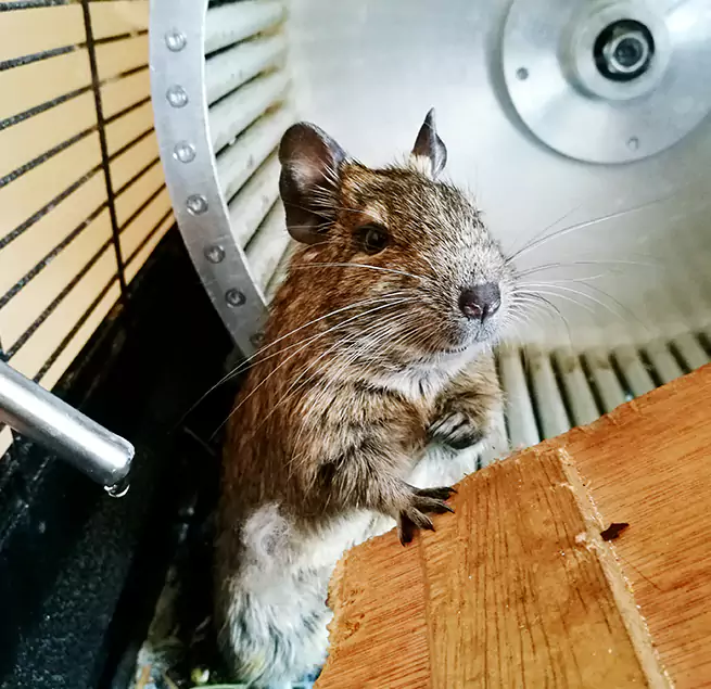 Why Homeowners & Businesses Trust Us Vero Beach South, FL