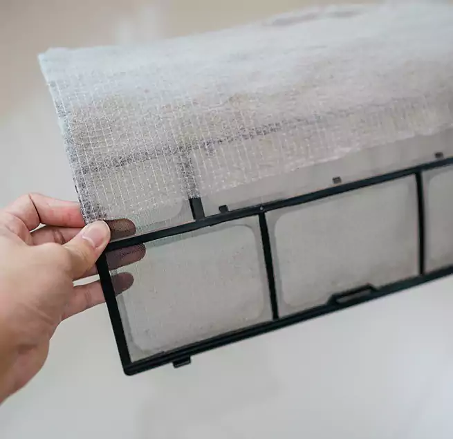 Why Homeowners & Businesses Trust Us in Vero Beach South, FL?