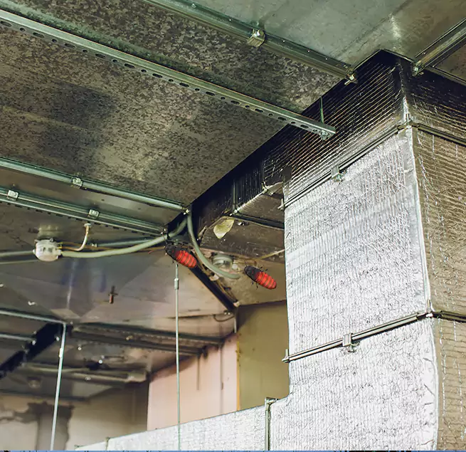 Why Homeowners & Businesses Trust Us Vero Beach South, FL?