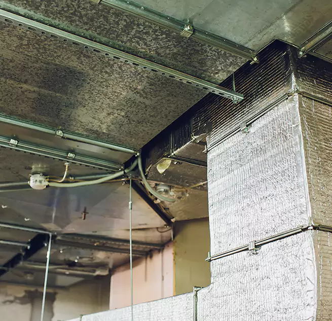 Why Homeowners & Businesses Trust Us in Vero Beach South, FL?