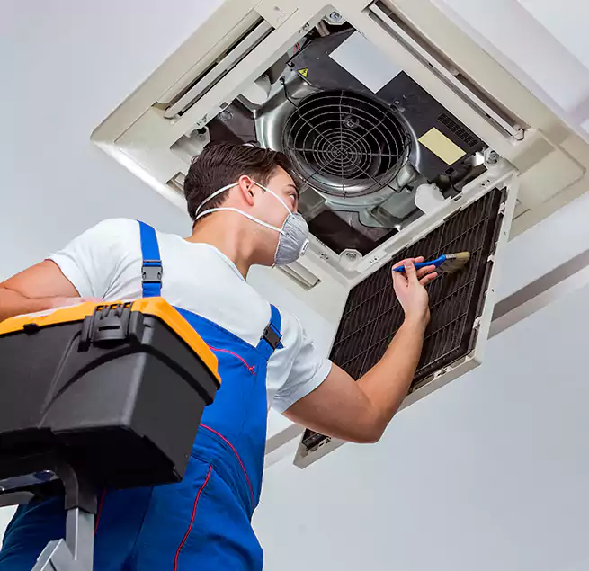 Why Homeowners & Businesses Trust Us in Vero Beach South, FL?